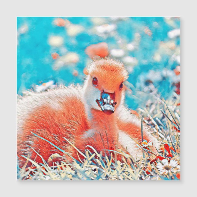 AnimalMix_Bird_019 (正面)