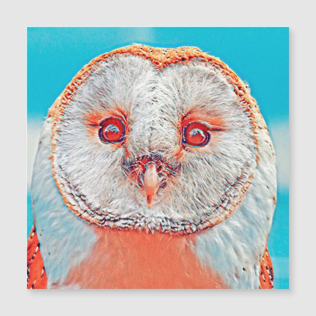 AnimalMix_Bird_023 (正面)