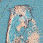 AnimalMix_Capybara_001 シール (正面)