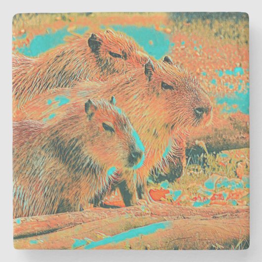 AnimalMix_Capybara_006 ストーンコースター (正面)