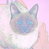 AnimalMix_Cat_017 シール (正面)