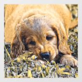 AnimalMix_Dog_005 ウィンドウサイン (シート)