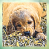 AnimalMix_Dog_005 ウィンドウサイン (シート3)