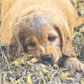 AnimalMix_Dog_005 シール (正面)