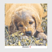 AnimalMix_Dog_005 シール (シート)