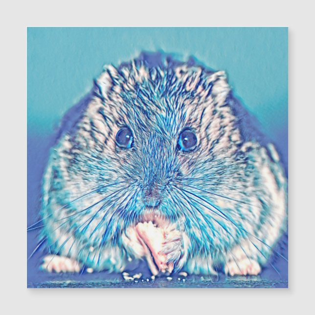 AnimalMix_Hamster_003 (正面)