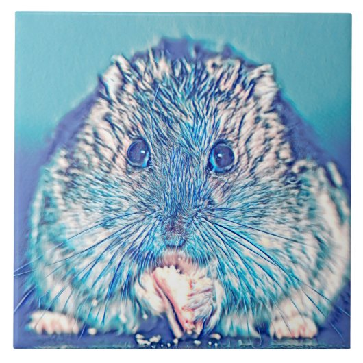 AnimalMix_Hamster_003 タイル (正面)