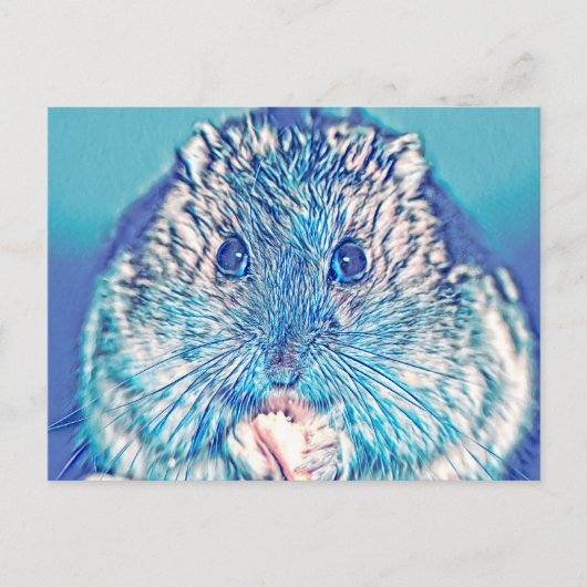 AnimalMix_Hamster_003 ポストカード (正面)