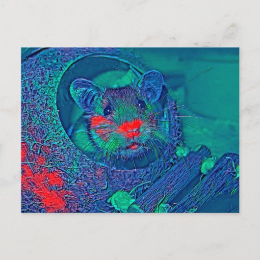 AnimalMix_Hamster_005 ポストカード (正面)