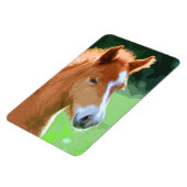 AnimalMix_Horse_013 マグネット (左側)