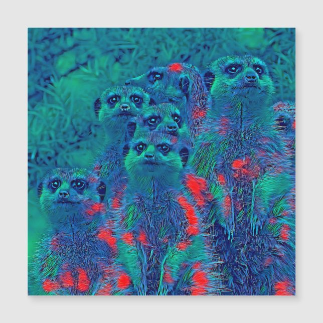 AnimalMix_Meerkat_015 (正面)