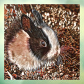 AnimalMix_Rabbit_005 ウィンドウサイン (シート3)