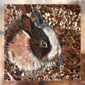 AnimalMix_Rabbit_005 ウィンドウサイン (シート2)
