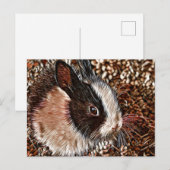 AnimalMix_Rabbit_005 ポストカード (正面/裏面)