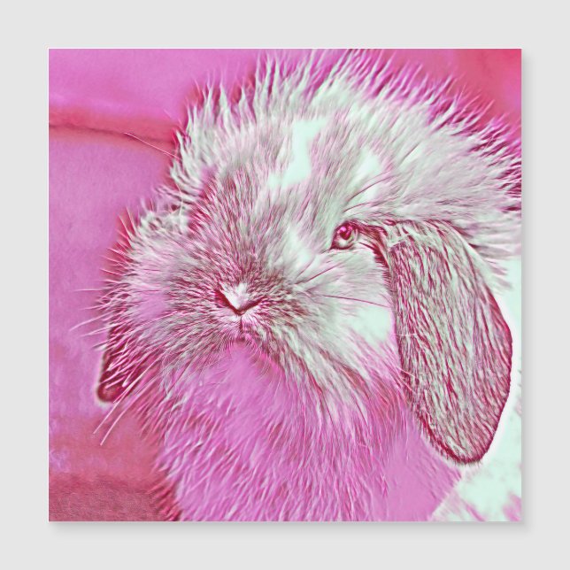 AnimalMix_Rabbit_008 (正面)