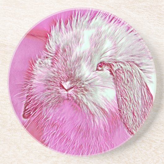 AnimalMix_Rabbit_008 コースター (正面)