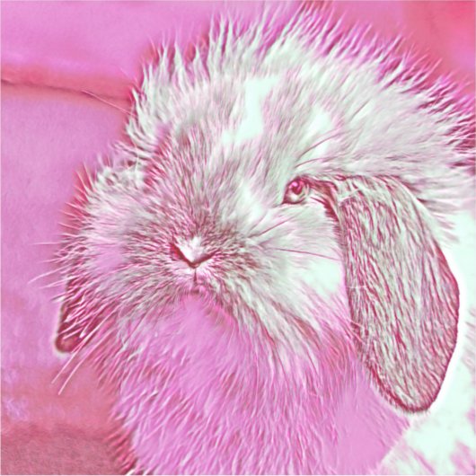 AnimalMix_Rabbit_008 シール (正面)