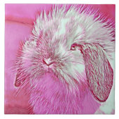 AnimalMix_Rabbit_008 タイル (正面)