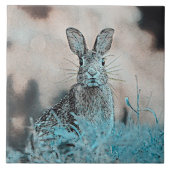 AnimalMix_Rabbit_024 タイル (正面)