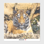 AnimalMix_Tiger_009 シール (シート)