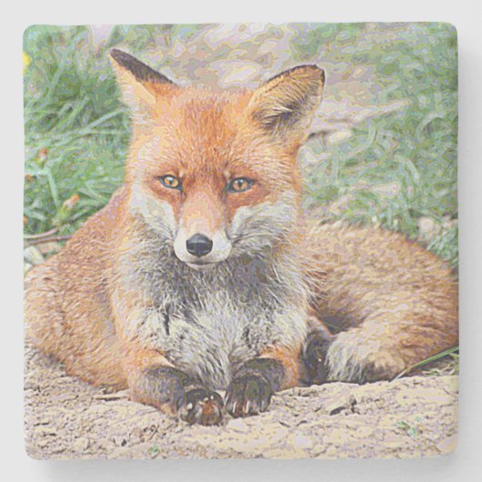 AnimalPaint_キツネ_20171201_by_JAMColors ストーンコースター (正面)