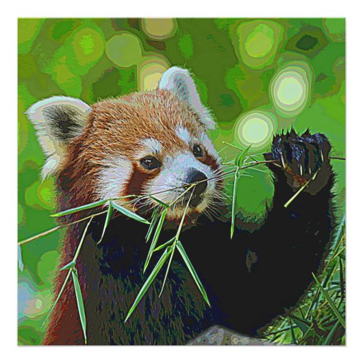 AnimalPaint_RedPanda_20171201_by_JAMColors フォトプリント (正面)