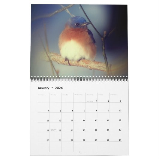 Animals カレンダー (1月 2026)