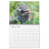 Animals カレンダー (2月 2026)