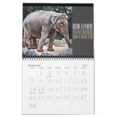 Animals Art Calendar (Type-C) カレンダー (2月 2027)