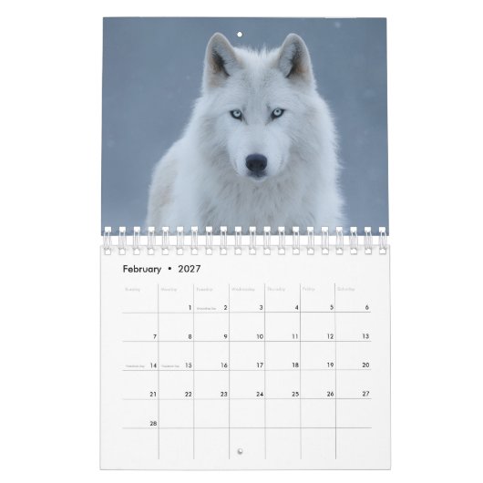 Animals image calendar  カレンダー (2月 2027)