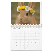 Animals image calendar  カレンダー (3月 2027)