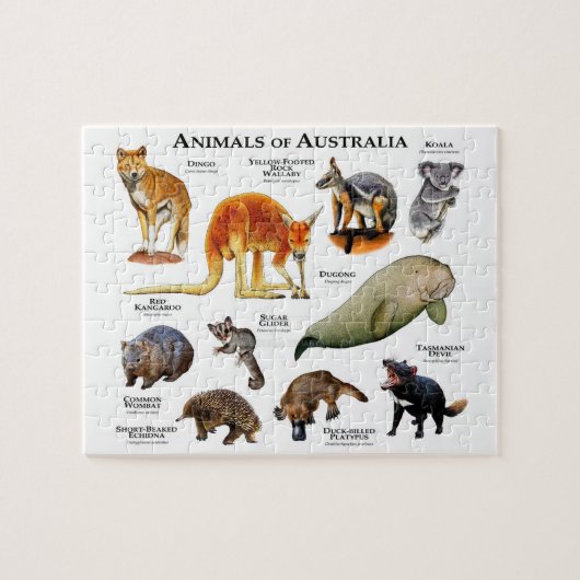 Animals of Australia ジグソーパズル (横)