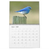 Animals of Custer Park 2026カレンダー カレンダー (3月 2027)