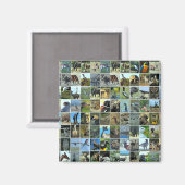 Animals of the world マグネット (正面/裏面)