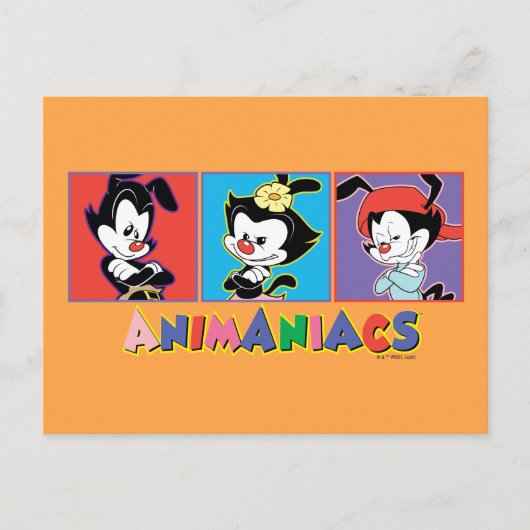 Animaniacs | Yakko, Dot, & Wakko Panel Graphic ポストカード (正面)