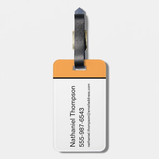 Animaniacs | Yakko, Dot, & Wakko Panel Graphic ラゲッジタグ (裏面縦)