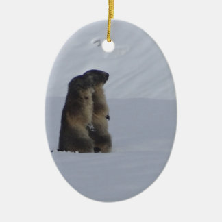 animaux marmottes sauvage セラミックオーナメント