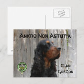 Animo Non Astutia, Gordon Setterポストカード ポストカード (正面/裏面)