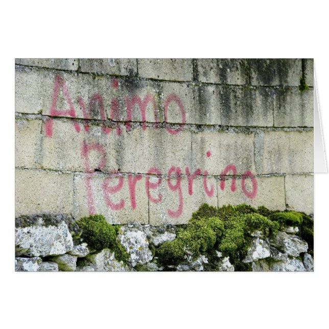 Animo Peregrinoカード (正面横)