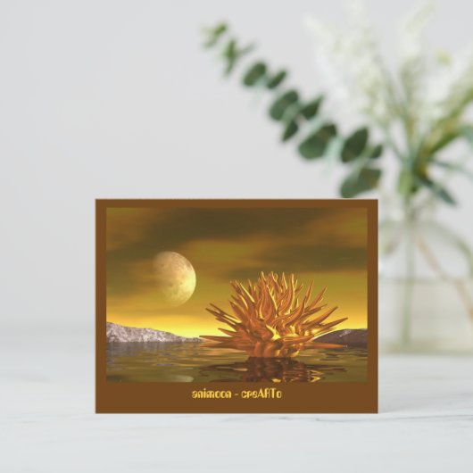 animoon ポストカード (スタンド正面)