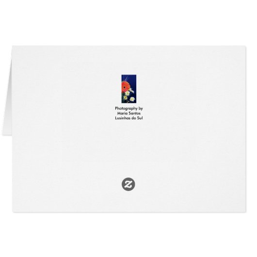 Aniversario de casamento (裏面横)