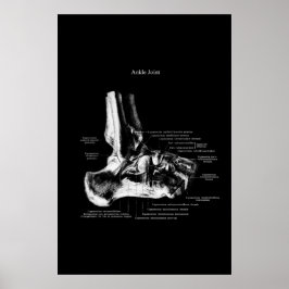 Ankle Joint Anatomy Orthopedic Decor ポスター