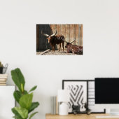 Ankole-Watusi Cattle Poster ポスター (ホームオフィス)