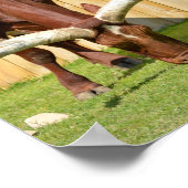 Ankole-Watusi grazing ポスター (角)