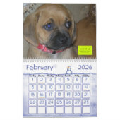 ANML-RESQ カレンダー (2月 2026)