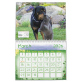 ANML-RESQ カレンダー (3月 2026)