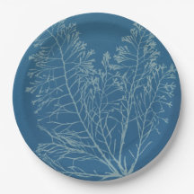 Anna Atkins – 植物写真、ヴィンテージデザイン