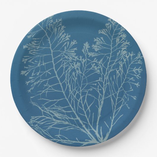 Anna Atkins – 植物写真、ヴィンテージデザイン ペーパープレート (正面)