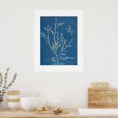 Anna Atkins:植物学ヴィンテージ写真 ポスター (キッチン)