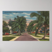 Anna Maria, Florida - View of Palms Along通り ポスター (正面)